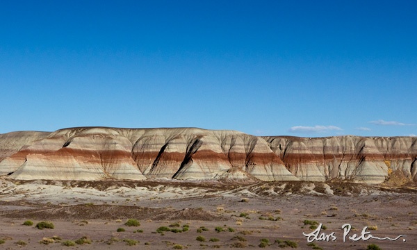 Landscape at Petrified Forest NP